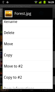 File item menu